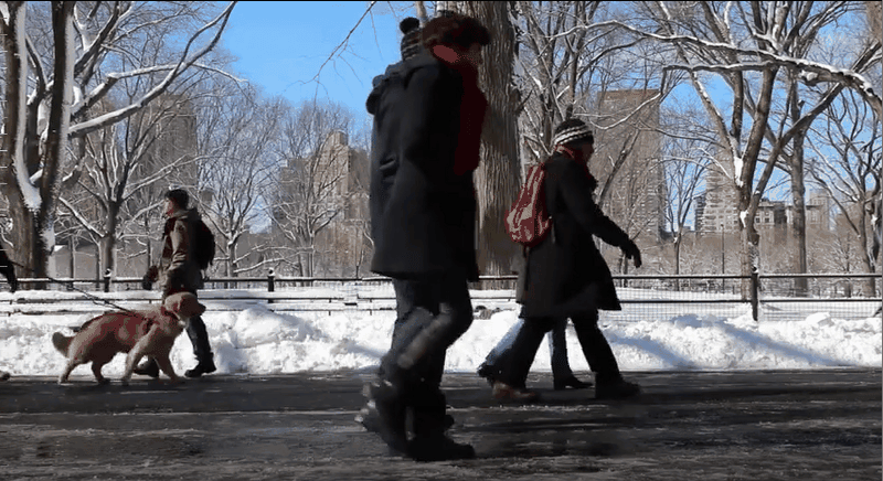 YOLO video object detection unannotated