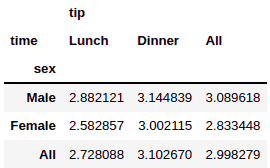 Pandas pivot table with margins