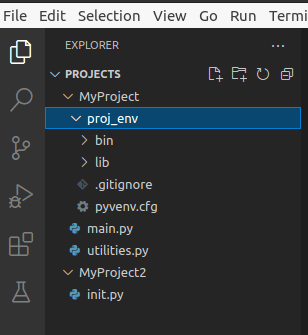 Python project virtualenv