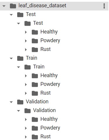 leaf disease data directory structure