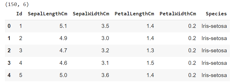 iris dataset dataframe